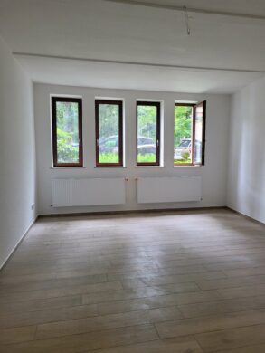 2 Zimmer in der Oststadt - Photo 4